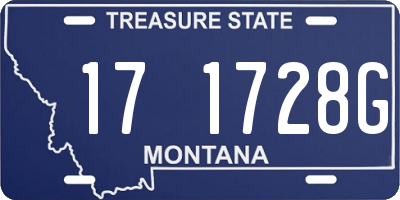 MT license plate 171728G
