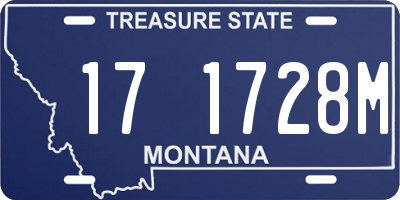MT license plate 171728M