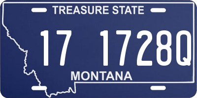 MT license plate 171728Q