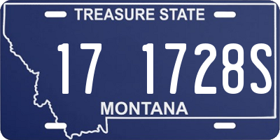 MT license plate 171728S
