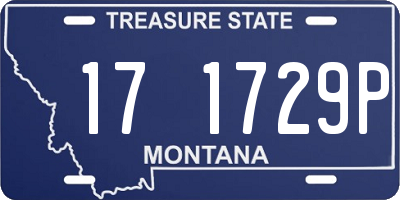 MT license plate 171729P