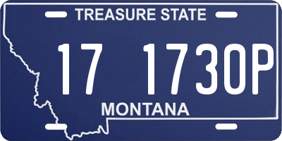 MT license plate 171730P