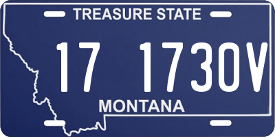 MT license plate 171730V