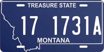 MT license plate 171731A