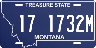 MT license plate 171732M