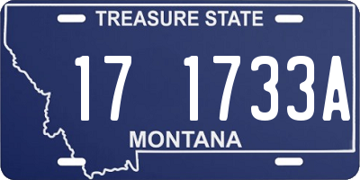 MT license plate 171733A