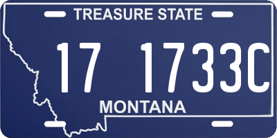 MT license plate 171733C