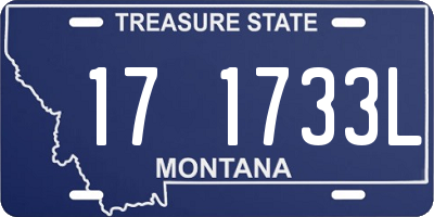 MT license plate 171733L