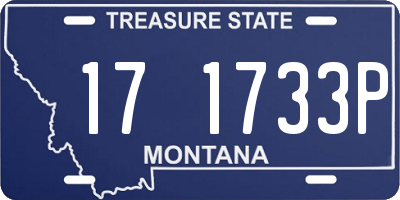 MT license plate 171733P