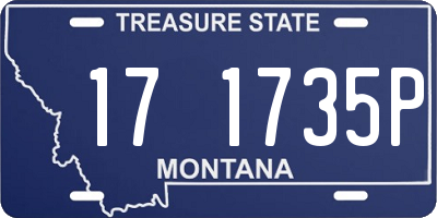 MT license plate 171735P