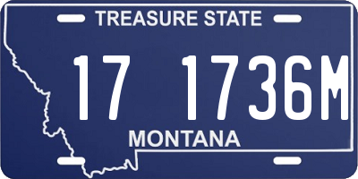 MT license plate 171736M