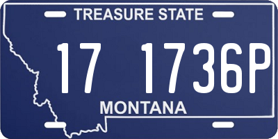 MT license plate 171736P
