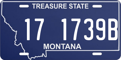MT license plate 171739B