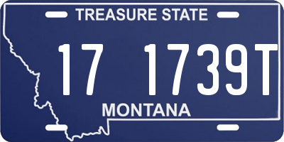 MT license plate 171739T
