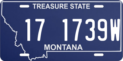 MT license plate 171739W