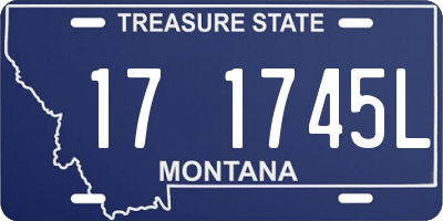 MT license plate 171745L