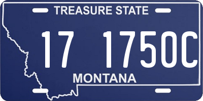 MT license plate 171750C