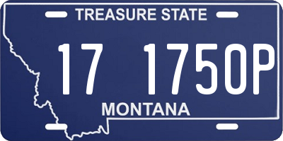 MT license plate 171750P