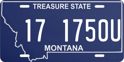 MT license plate 171750U