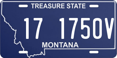 MT license plate 171750V