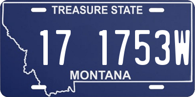 MT license plate 171753W