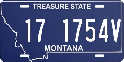 MT license plate 171754V