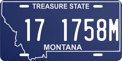 MT license plate 171758M