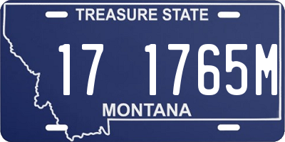 MT license plate 171765M
