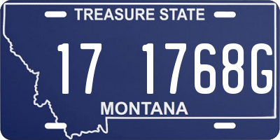 MT license plate 171768G