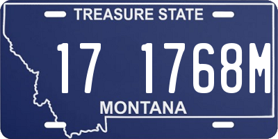 MT license plate 171768M