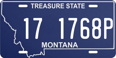 MT license plate 171768P
