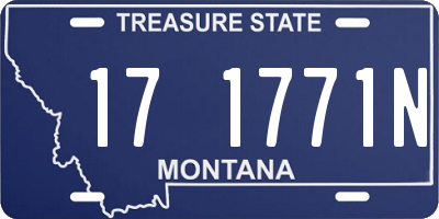 MT license plate 171771N