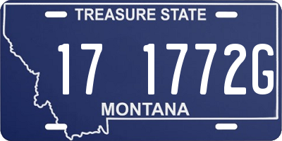 MT license plate 171772G