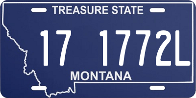 MT license plate 171772L