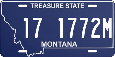 MT license plate 171772M