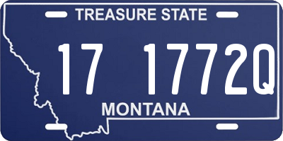 MT license plate 171772Q