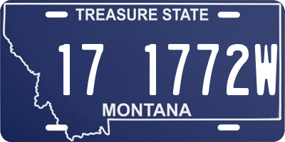 MT license plate 171772W