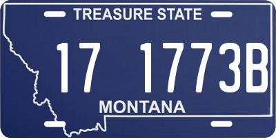 MT license plate 171773B