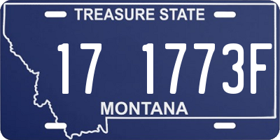MT license plate 171773F