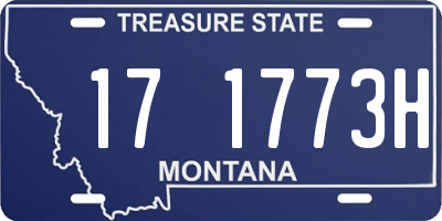 MT license plate 171773H