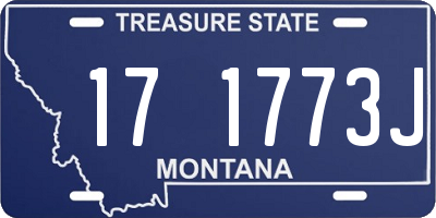 MT license plate 171773J