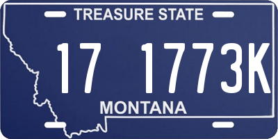 MT license plate 171773K