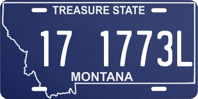 MT license plate 171773L