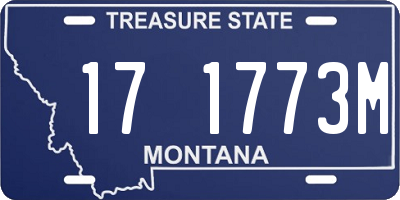 MT license plate 171773M