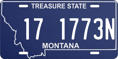 MT license plate 171773N