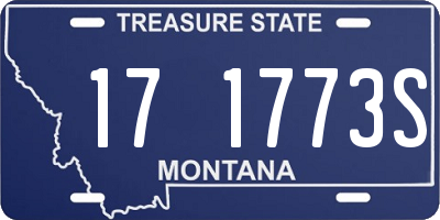 MT license plate 171773S