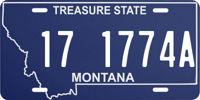 MT license plate 171774A