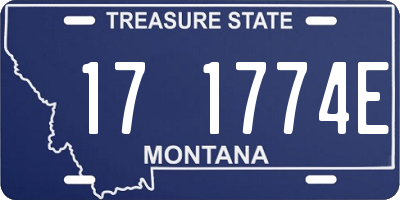 MT license plate 171774E