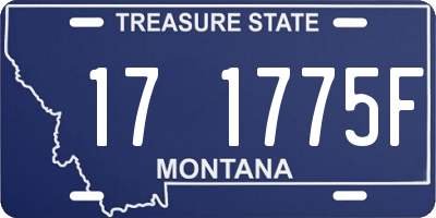 MT license plate 171775F