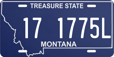 MT license plate 171775L